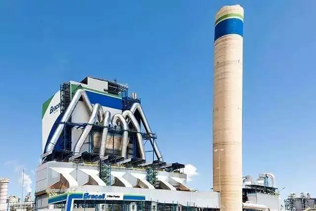 Fábrica de celulose em Bataguassu recebe licença prévia ambiental