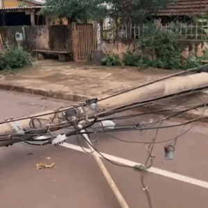 Ventania que derrubou árvores e postes chegou a 100 km por hora em Dourados