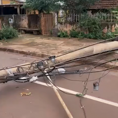 Ventania que derrubou árvores e postes chegou a 100 km por hora em Dourados
